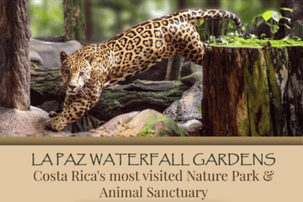 La Cabana Heredia Exteriér fotografie